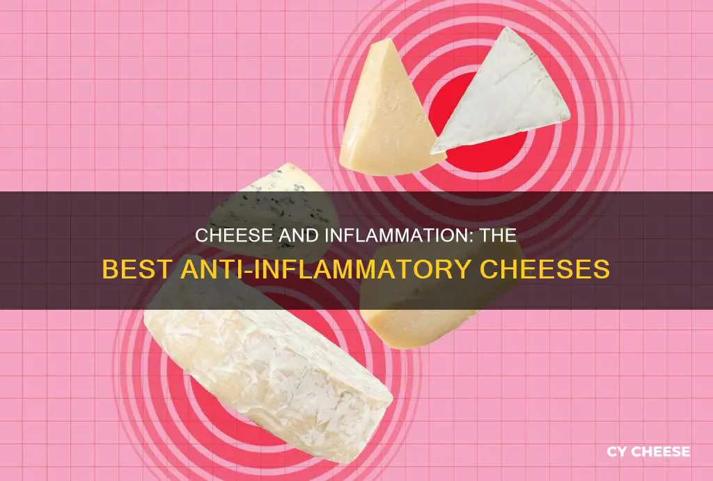 what kind of cheese is anti inflammatory