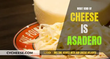 The Versatile Asadero Cheese: A Mexican Favorite