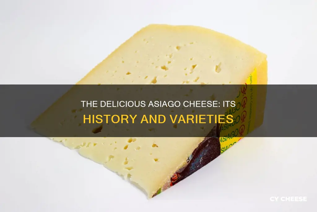 what kind of cheese is asiago