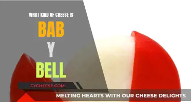 Baby Bell Cheese: A Comprehensive Guide to Its Uniqueness