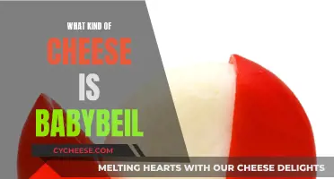 The Mystery of Babybel: What's Inside This Cheese?