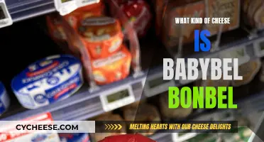 Babybel and Bonbel: What's the Cheesy Difference?