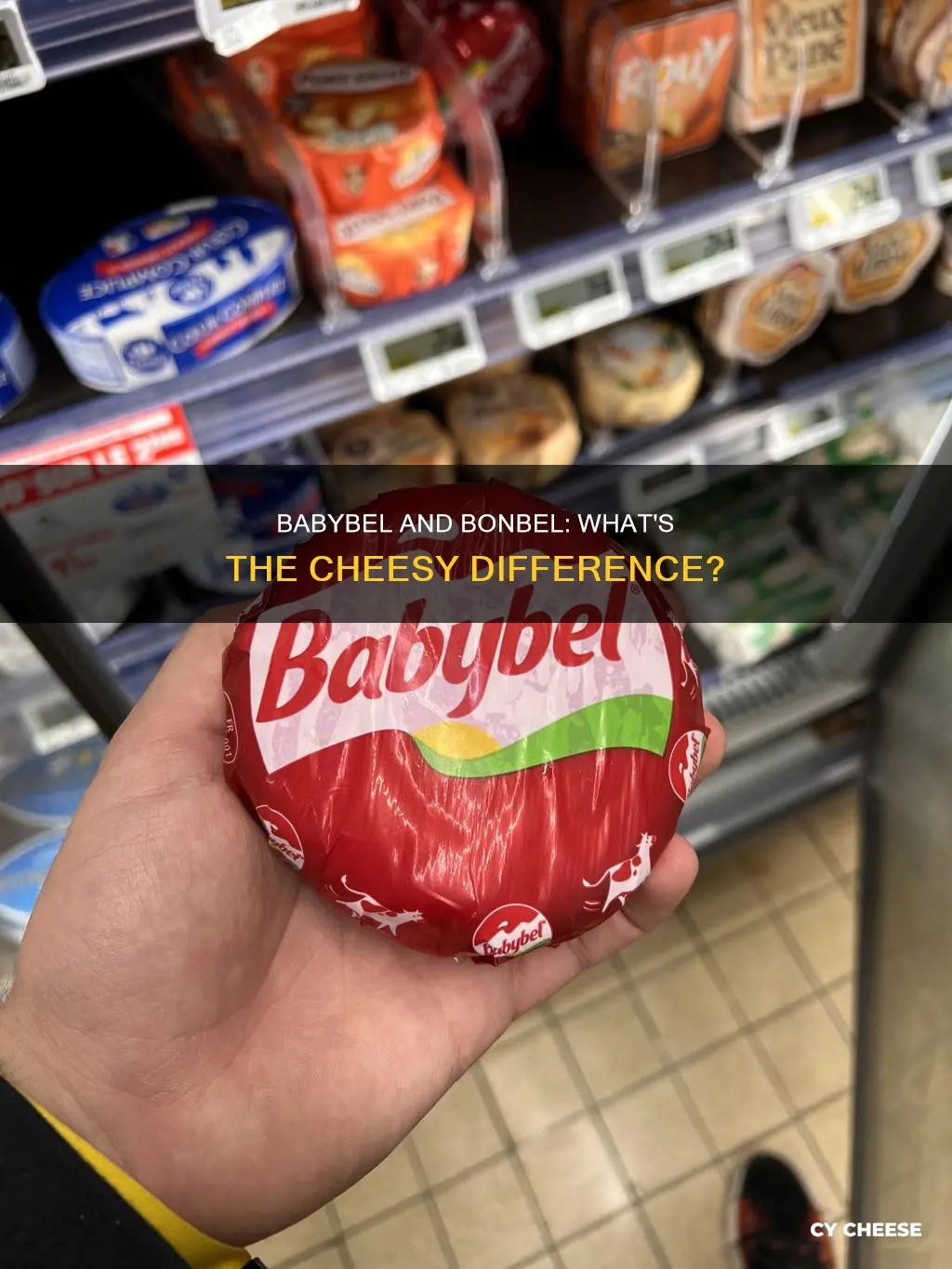 what kind of cheese is babybel bonbel