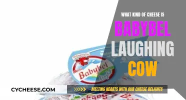 Laughing Cow and Babybel: What's the Cheesy Connection?