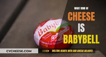 Babybell: A Soft, Wax-Covered Cheese for Kids and Adults