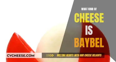 Baybel Cheese: A Unique Kind of Swiss Cheese