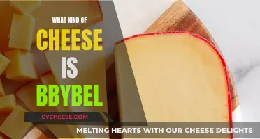 Discovering the Mystery of Babybel Cheese