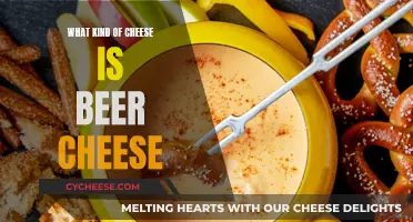 Beer Cheese: What's the Story Behind This Unique Blend?