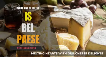 Bel Paese Cheese: A Classic Italian Soft Cheese