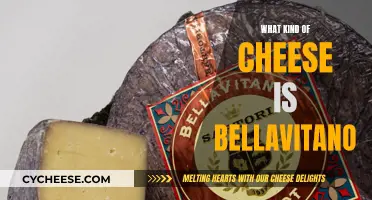 Discovering Bellavitano: A Unique Cheese Experience