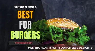 Cheese and Burgers: The Perfect Melty Match