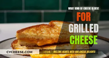 The Ultimate Cheeses for a Perfect Grilled Sandwich