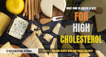 Cheese and Cholesterol: Best Dairy Options for a Healthy Heart