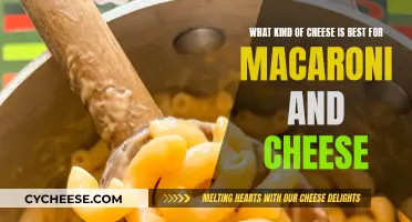 Mac and Cheese: Choosing the Perfect Cheesy Blend