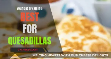 Cheese for Quesadillas: Melting Moments for Your Taste Buds