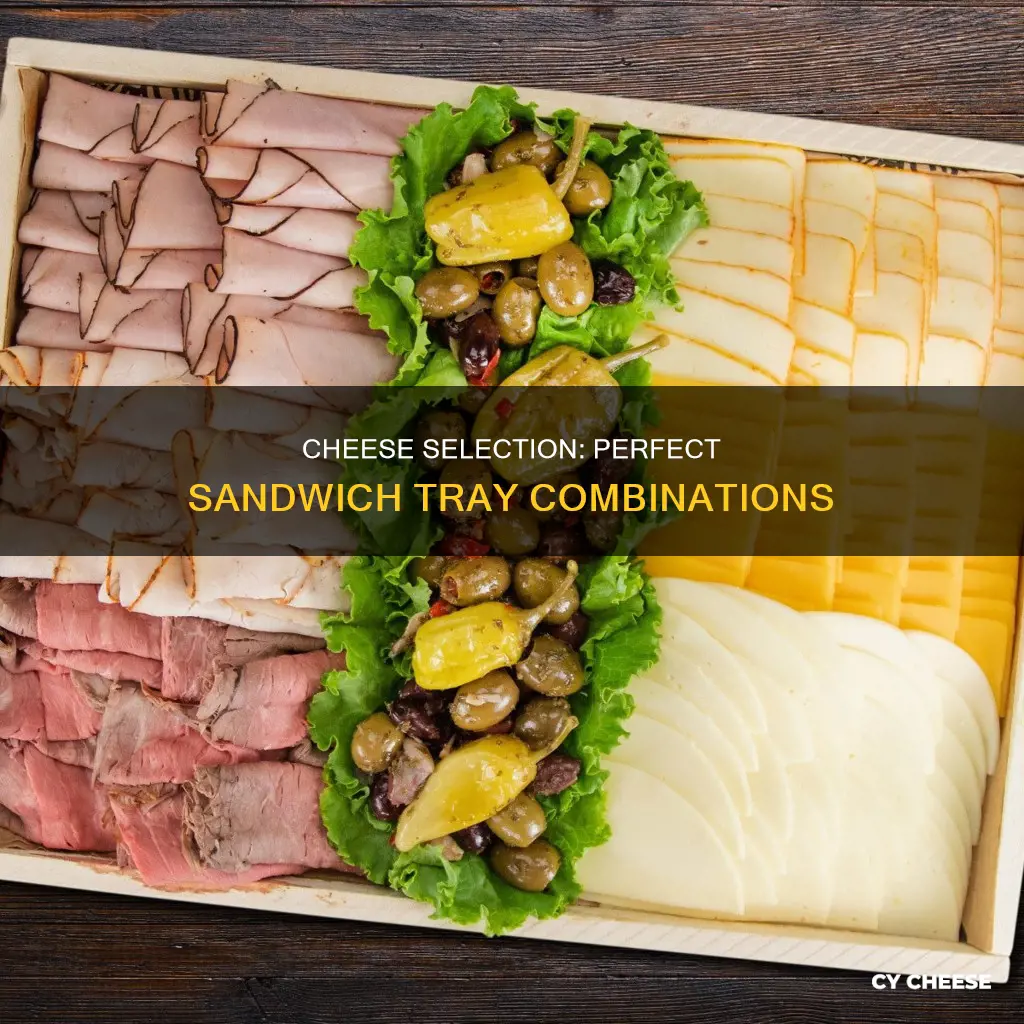 what kind of cheese is best for sanwich tray