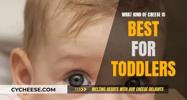 Cheese for Toddlers: Best Types and Their Benefits