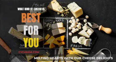 Cheese Varieties: Choosing the Best for Your Taste