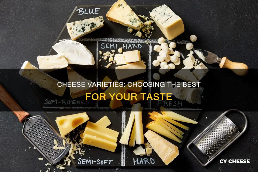 what kind of cheese is best for you