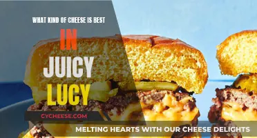 Juicy Lucy: The Perfect Cheese Filling