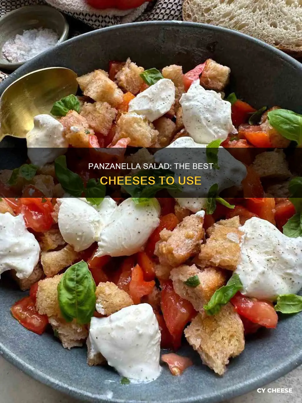 what kind of cheese is best on panzanella salad