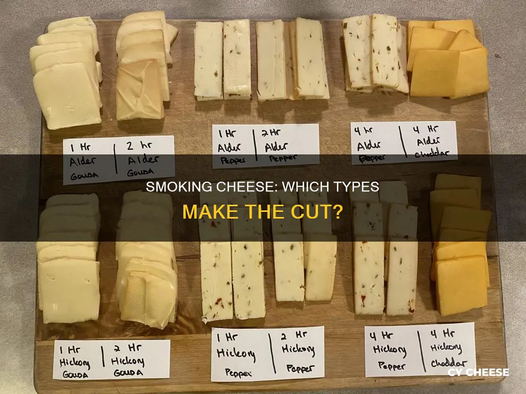 what kind of cheese is best to smoke