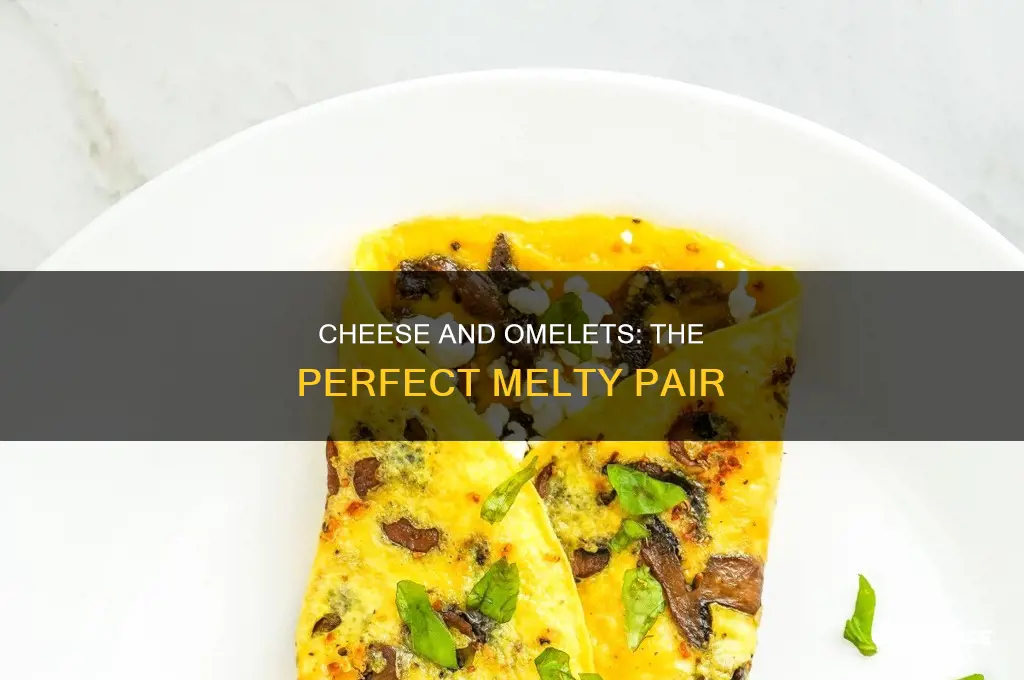 what kind of cheese is best to use for omlet