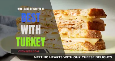 Cheese and Turkey: The Perfect Pairing