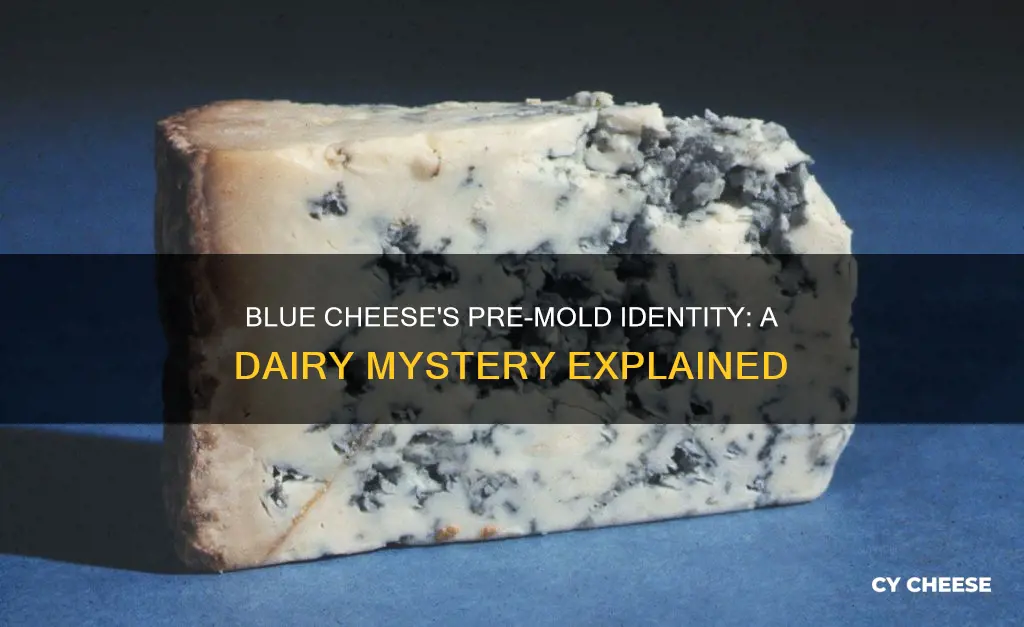 what kind of cheese is blue cheese before it molds