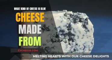 Blue Cheese Origins: Understanding the Base Cheese