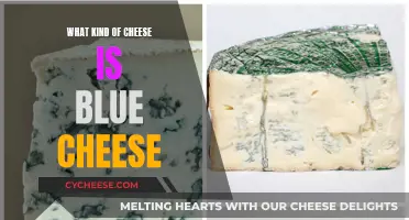 Blue Cheese: A Distinctive Moldy Delight Explained