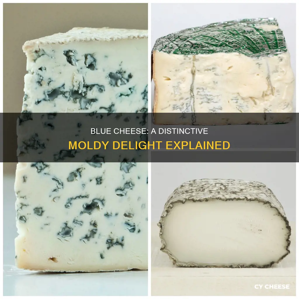 what kind of cheese is blue cheese