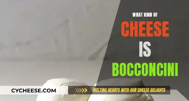 Bocconcini: A Beginner's Guide to This Fresh, Soft Cheese