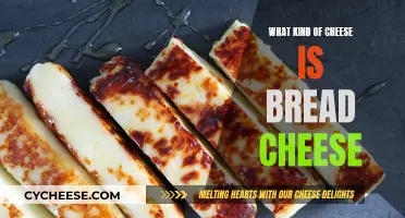 Bread Cheese: What Kind of Cheese is This?