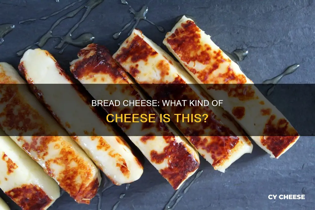 what kind of cheese is bread cheese