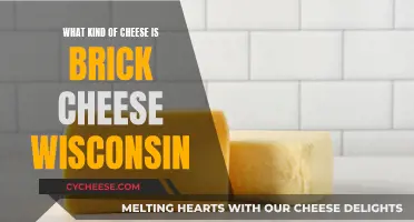 Brick Cheese: Wisconsin's Finest Dairy Delicacy