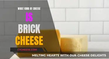 Brick Cheese: A Wisconsin Original, Explained