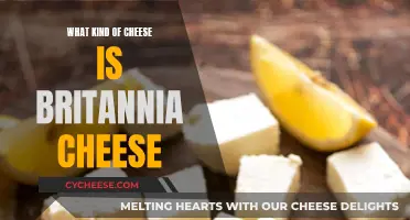 Britannia Cheese: A Unique, Tangy, and Versatile Cheese Option