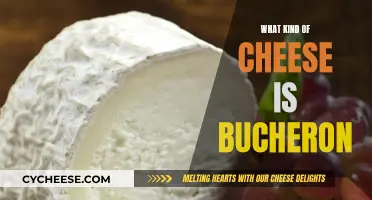 Bucheron Cheese: A Creamy, Surface-ripened Goat Cheese Delicacy