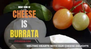 Burrata: A Creamy, Soft Cheese with a Unique Texture