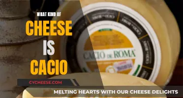 Unraveling Cacio: A Unique Cheese with Ancient Roots