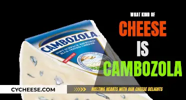 Cambozola Cheese: A Unique Blend of Gorgonzola and Camembert