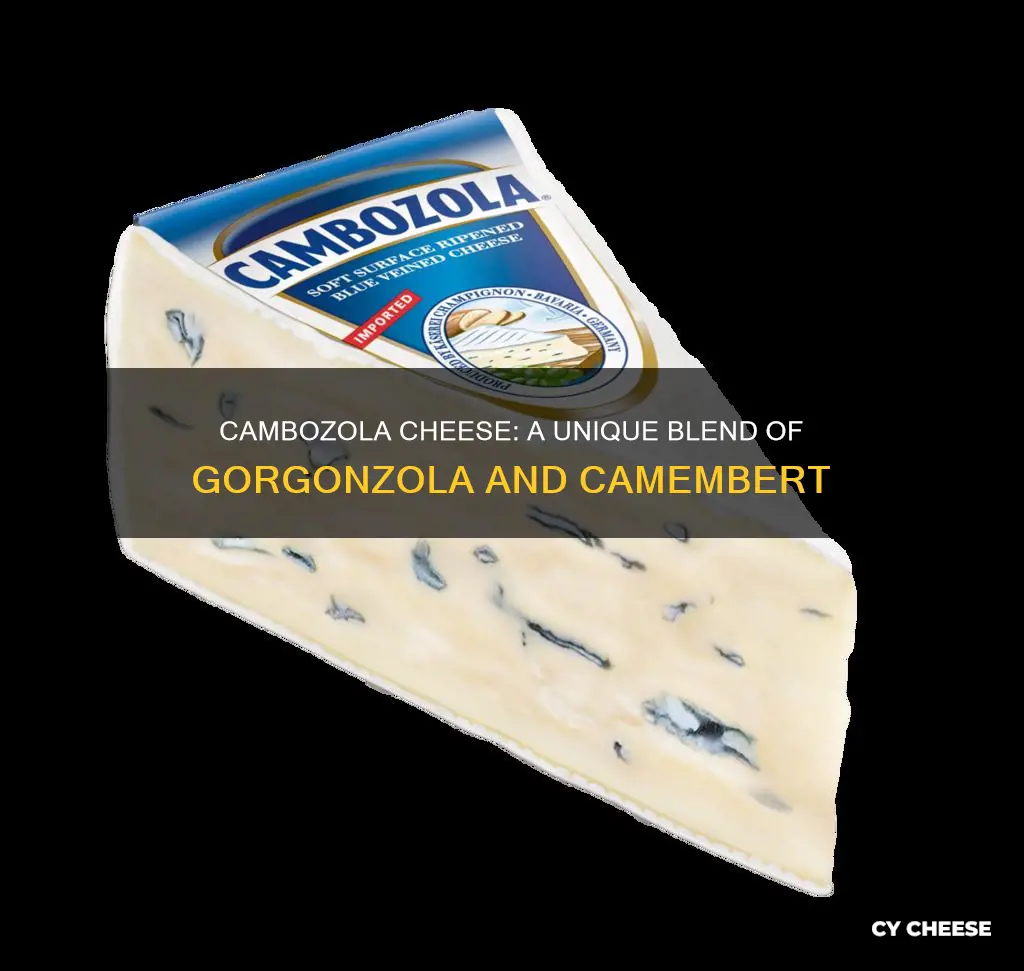 what kind of cheese is cambozola