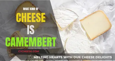 Camembert Cheese: A Decadent Delve into Its History and Taste