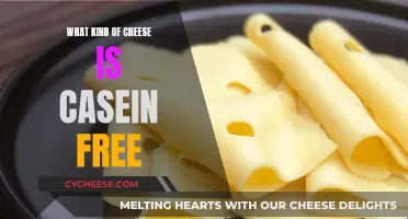 Finding Casein-Free Cheese: What Are Your Options?