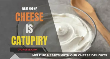 Catupiry: The Unique Brazilian Cream Cheese