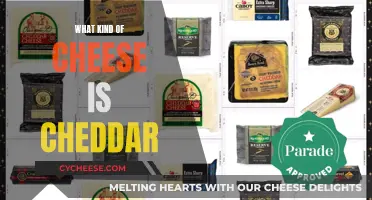 The History of Cheddar: A Cheese Exploration