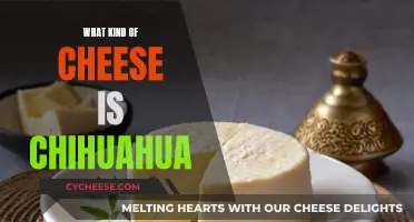 Chihuahua Cheese: A Unique Mexican Delicacy Explained