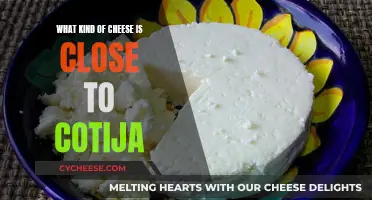 Finding the Perfect Cotija Cheese Substitute: Similar Cheeses