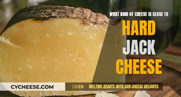 Hard Jack Cheese Alternatives: Similar Cheeses to Try